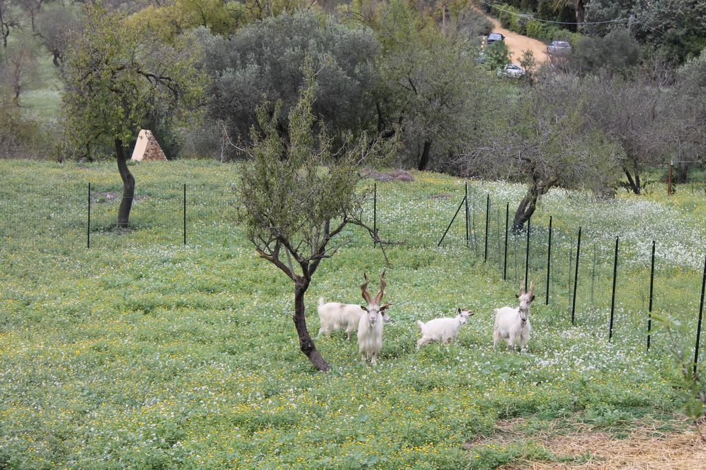 B&B Nettuno San Leone Buitenkant foto